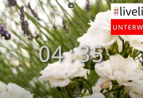 liveline unterwegs-Andacht 